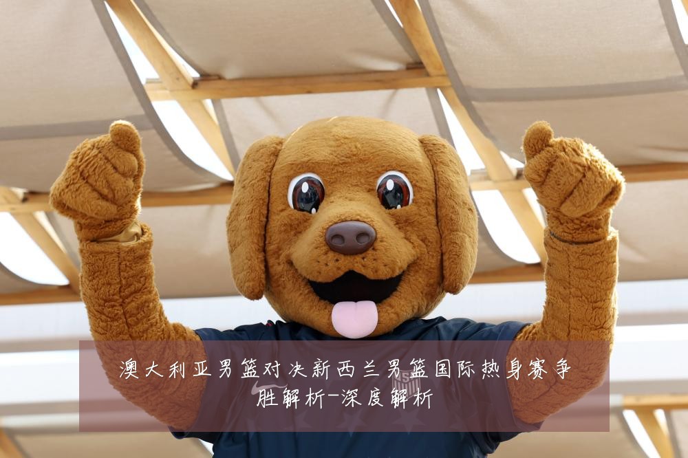 澳大利亚男篮对决新西兰男篮国际热身赛争胜解析-深度解析